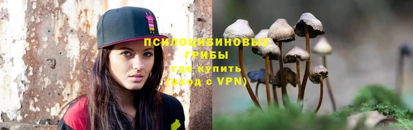 гидропоника Алзамай