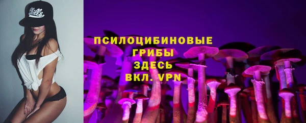 бошки Алексин