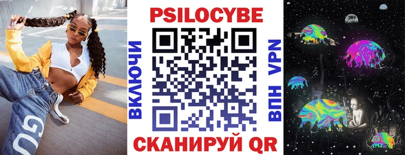 Псилоцибиновые грибы Cubensis цены наркотик Жирновск